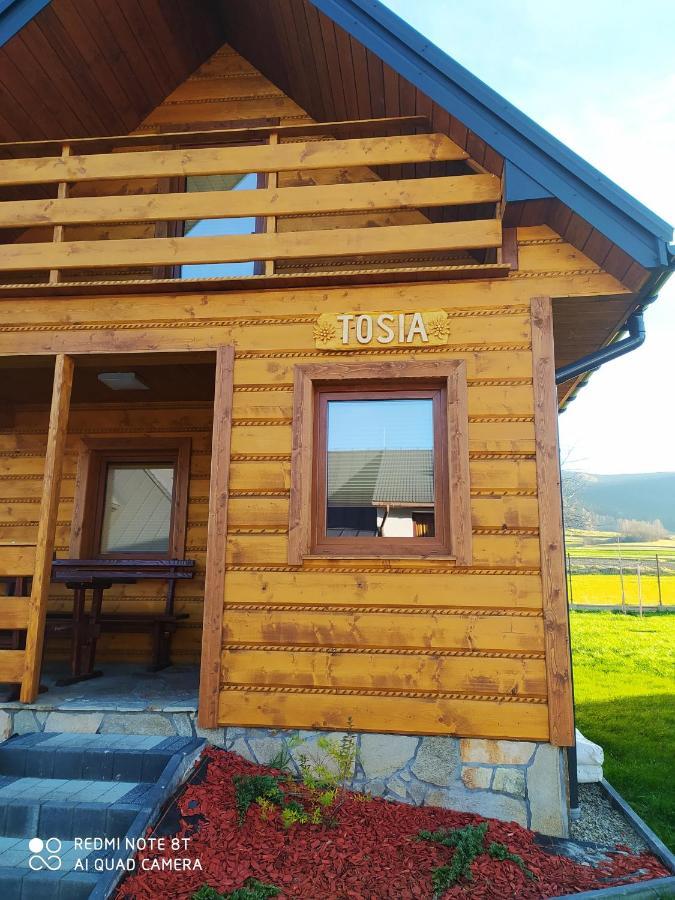 Zajazd ,,Rys" Dobra  Eksteriør bilde